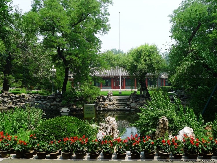 Image 09