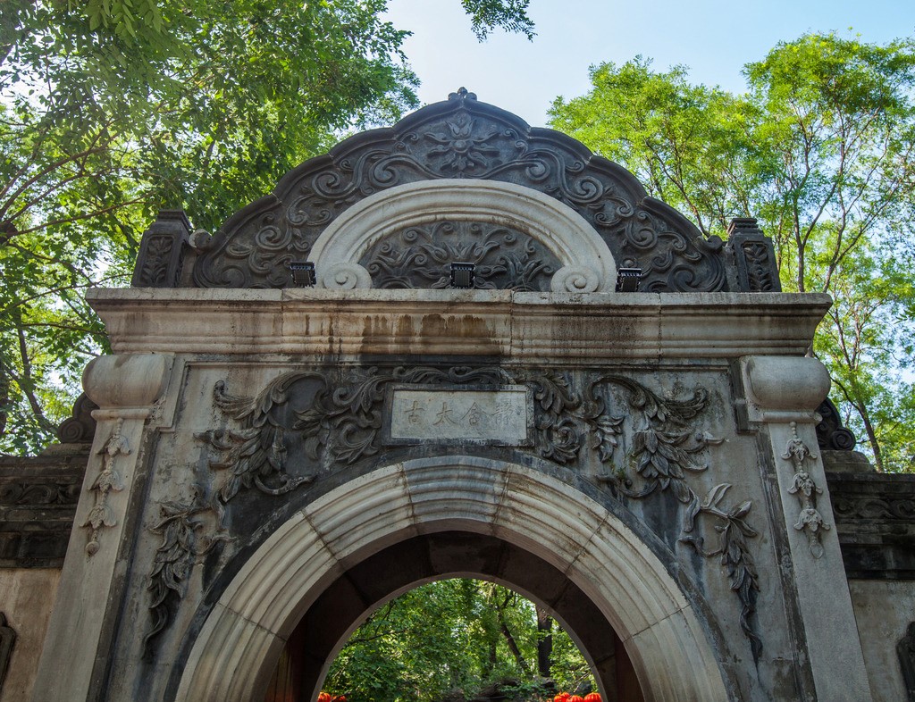Image 15