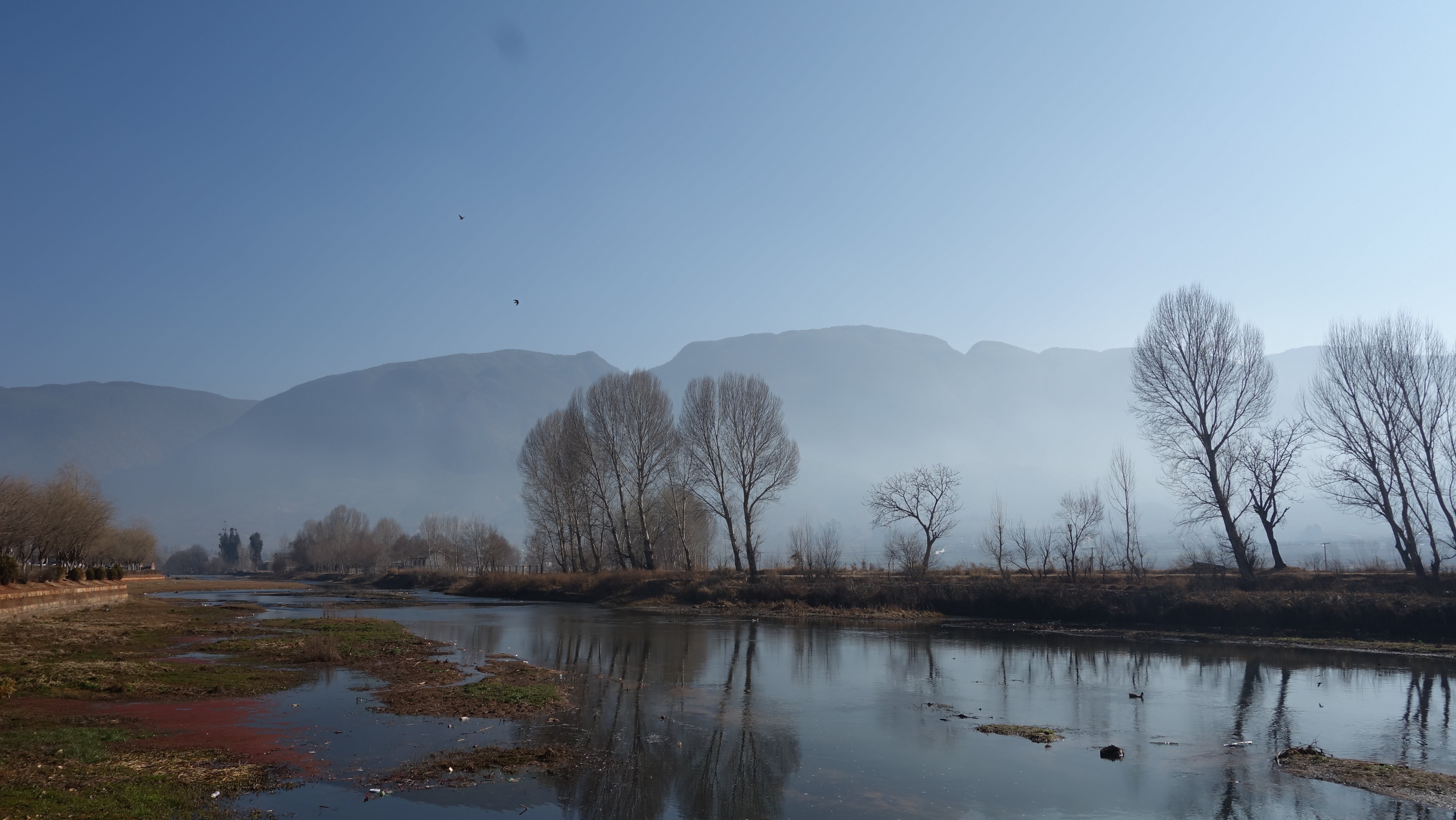 Image 11