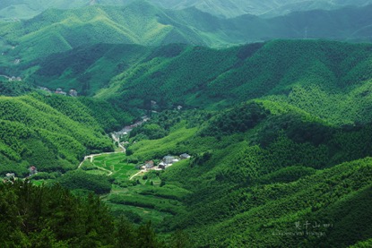 Image 01