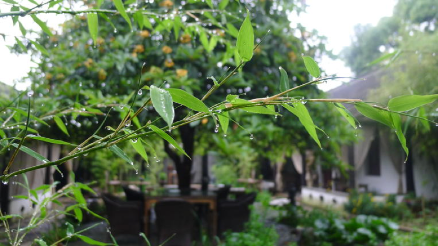 Image 03
